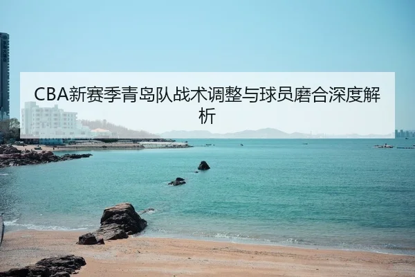 CBA新赛季青岛队战术调整与球员磨合深度解析